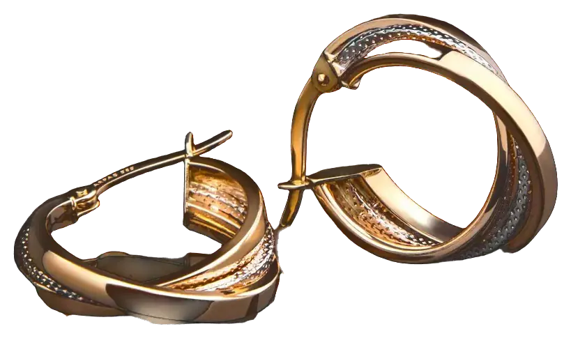 Twisted Hoop Earrings · Representative image